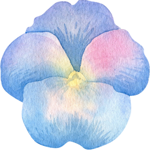 flower2