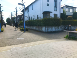並木道