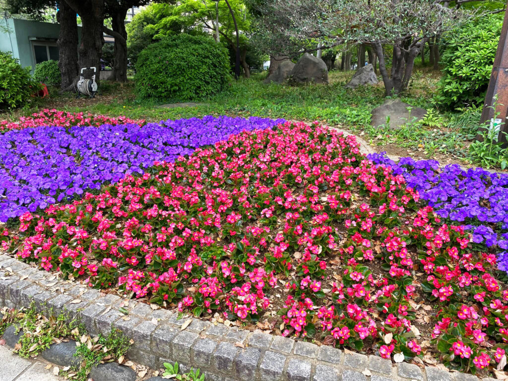 川崎紫明音符ビッツ