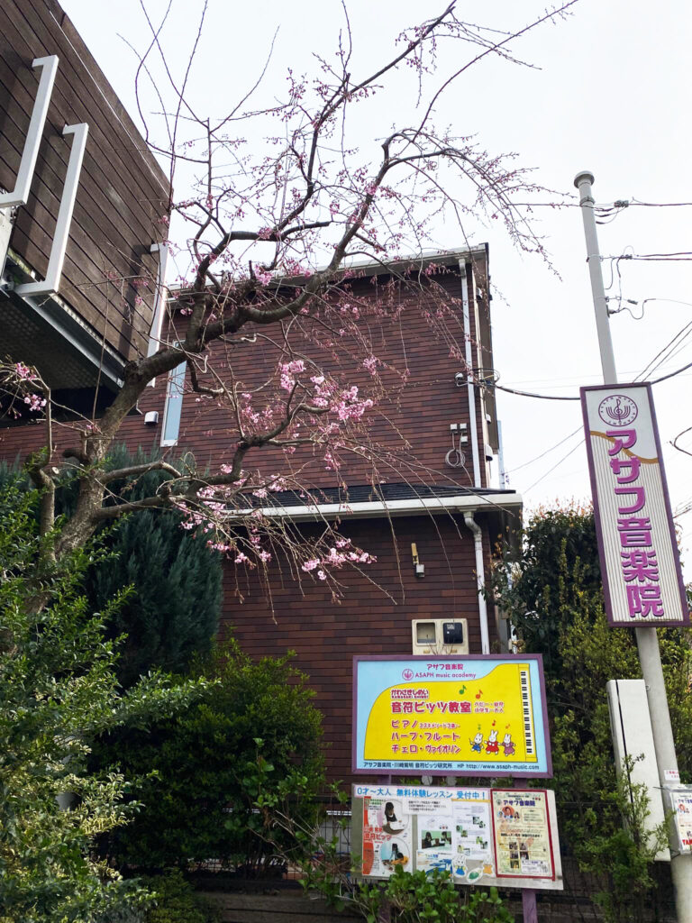 川崎紫明音符ビッツ アサフ音楽院